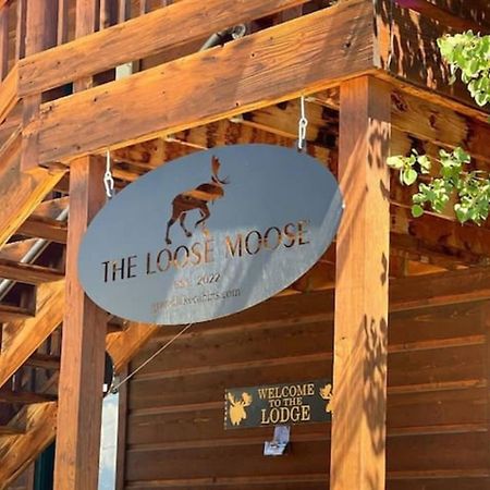 The Loose Moose Lodge #3 At Downtown Grand Lake Гранд-Лейк Екстер'єр фото